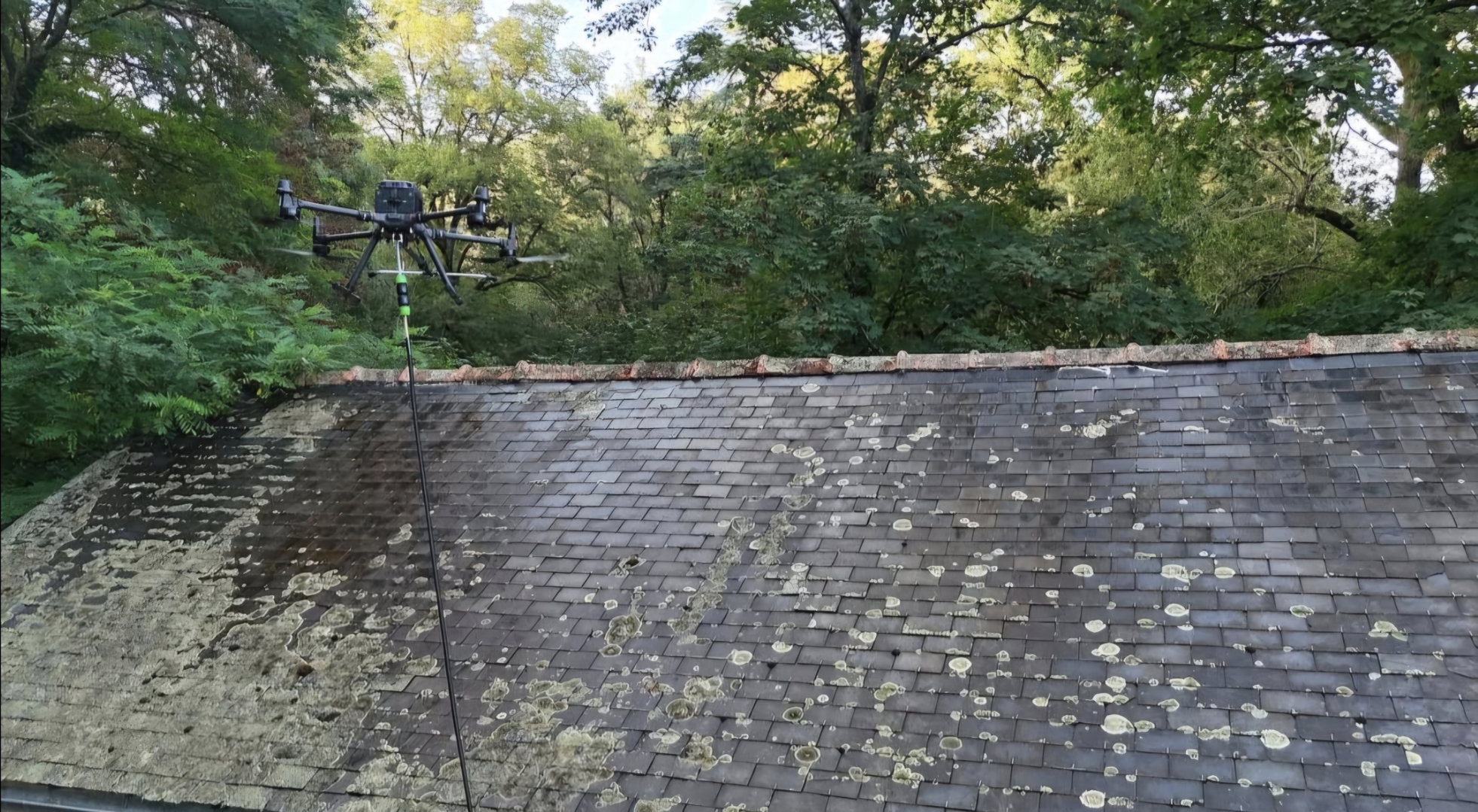 Toiture couverte de mousses et lichens, avant nettoyage par drone LM Drone