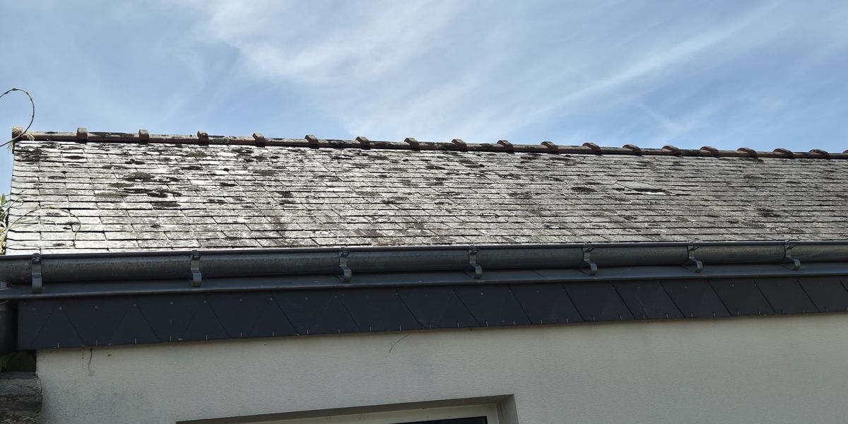 Toiture en ardoise couverte de lichens avant démoussage